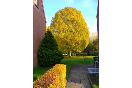 PrivatProv.frei: Bi-Obersee, 2 Zi+Balkon, Einbauküche für 2 Pers - Bielefeld Schildesche