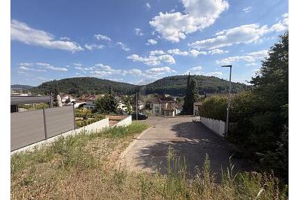 UNVERBAUBARER PANORAMA-BLICK IN LAHRS BESTLAGE - Lahr/Schwarzwald