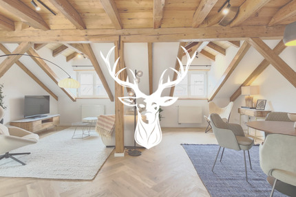 Exklusive 2-Zimmer Wohnung vollständig möbliert monatlich anmietbar - Waldshut-Tiengen