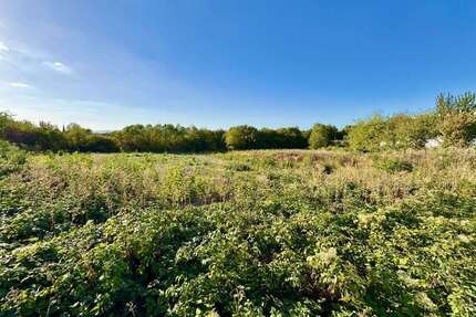 Grundstück in Wörrstadt 350.000,00 € 2300 m²