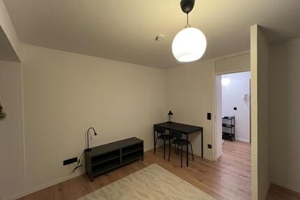 Möbeliertes Apartment inkl. Balkon und TG-Stellplatz - Lörrach