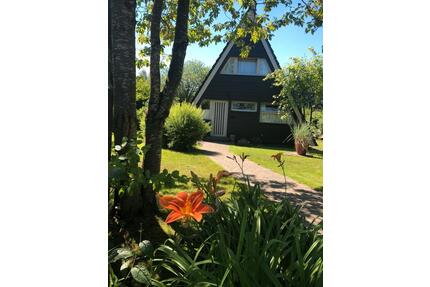 Ferienhaus in Damp an der Ostsee zu vermieten!☀️☀️☀️ - Tolk