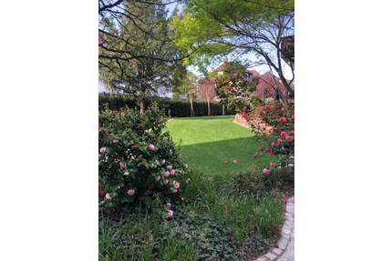 Haus zum Mieten in Heidelberg 3.800,00 € 196 m²