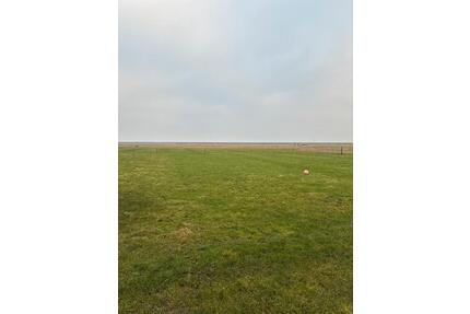 Grünland pachten - 300,00&nbsp;EUR Kaltmiete, ca.&nbsp; 100,00&nbsp;m&sup2; in Sankt Peter-Ording (PLZ: 25826)