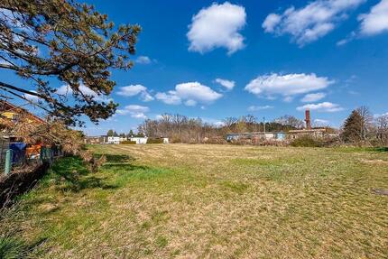 AUKTION: 0,2 ha Grünland - 1.000,00&nbsp;EUR Kaltmiete, ca.&nbsp; 0,00&nbsp;m&sup2; in Lohsa (PLZ: 02999)