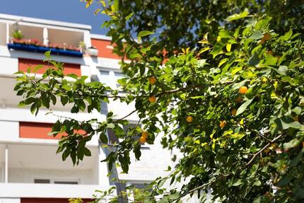 Wohntraum mit Balkon - 624,00&nbsp;EUR Kaltmiete, ca.&nbsp; 112,06&nbsp;m&sup2; in Halle (Saale) (PLZ: 06132) Silberhöhe