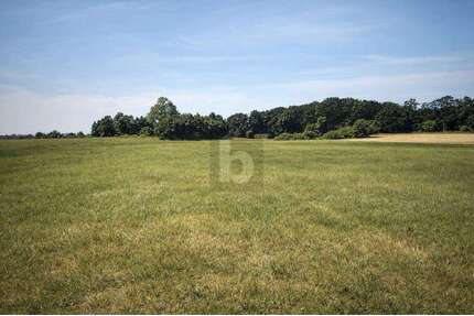 Grundstück zu verkaufen in Dreschvitz 62.000,00 € 44096 m²