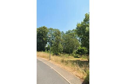 Grundstück zum Verpachten 2700qm2 Pachtland Weideland - Mittweida