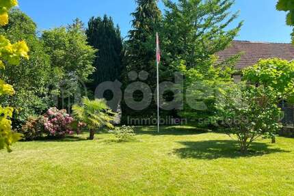 Haus zum Kaufen in Aschaffenburg Gailbach 405.000,00 € 140 m² - Aschaffenburg / Gailbach