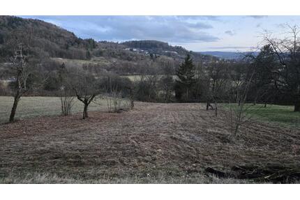 Grundstücke Garten Streuobstwiese Steinenberg Rudersberg