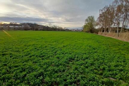 Pferdekoppel,Weide Bad Nauheim - 5,00&nbsp;EUR Kaltmiete, ca.&nbsp; 0,00&nbsp;m&sup2; in Bad Nauheim (PLZ: 61231)