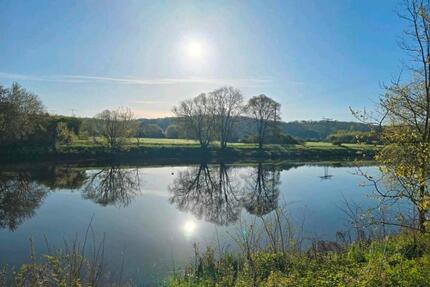 Urlaub direkt an der Saale, Ferienwohnung, Pension, Angeln, Natur - Bernburg (Saale)