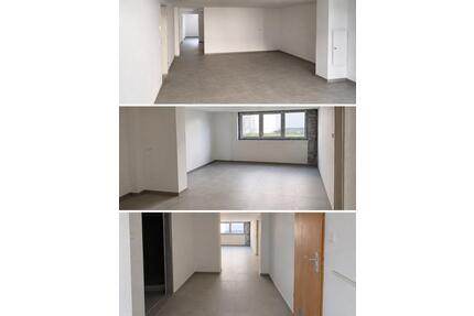 Kernsanierte 2-Zimmer-Souterrainwohnung mit offener Wohnküche - Ludwigshafen am Rhein Edigheim