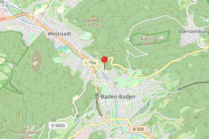 Wohnung zum Kaufen in Baden-Baden 295.000,00 € 96 m²