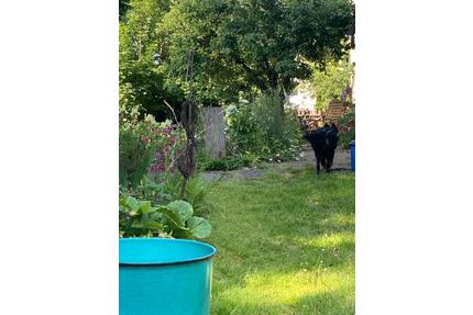 Wohngemeinschaft 50+ - 400,00&nbsp;EUR Kaltmiete, ca.&nbsp; 75,00&nbsp;m&sup2; in Blankenhain (PLZ: 99444)