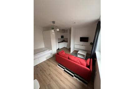 1 Zimmer , möbliert & wifi - 1.300,00&nbsp;EUR Kaltmiete, ca.&nbsp; 28,00&nbsp;m&sup2; in Berlin (PLZ: 10115) Mitte