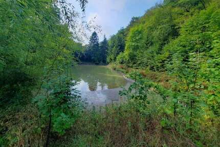 Haus zum Kaufen in lorch 187.500,00 € 40 m²