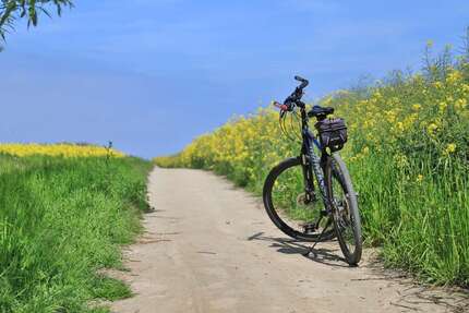 Wohnung zum Mieten in Warnkenhagen 540,00 € 60 m²