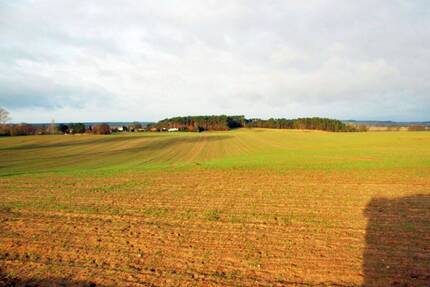 Fruchtfolge im Eigenanbau - Ackerfläche auf Usedom - Zirchow