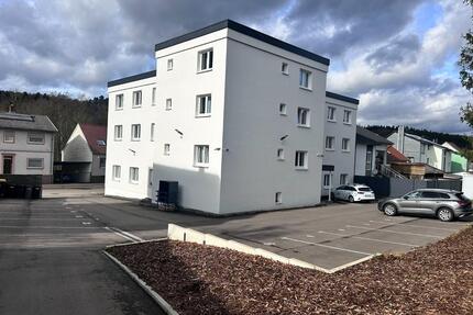 Modernes 1-Zimmer-Apartment in Rentrisch voll möbiliert. - Völklingen