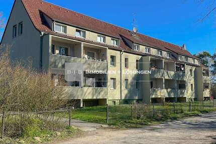 Wohnung zum Mieten in Groß Kreutz Bochow 550,00 € 50 m² - Groß Kreutz / Bochow