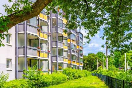 Wohnung zum Mieten in Chemnitz 285,00 € 49.2 m²