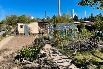 Schöner Kleingarten im KGV Eichtal - Braunschweig Lehndorf-Watenbüttel
