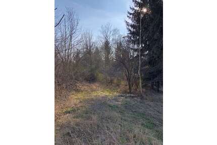 Grundstück zu verkaufen in Gößnitz 19.900,00 € 798 m²