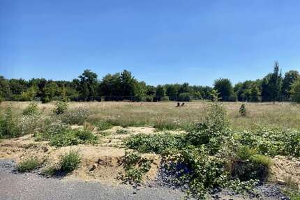 Grundstück zu verkaufen in Bitterfeld-Wolfen 78.000,00 € 805 m²