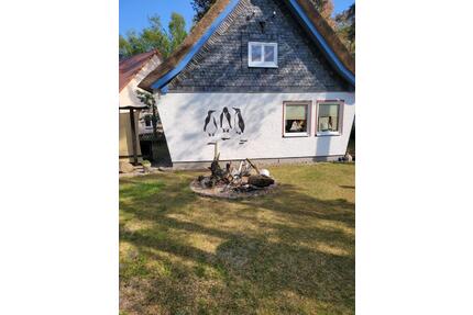 Ferienhaus Fischland Darss Ostsee ...mit Aktionsangeboten - Rötha