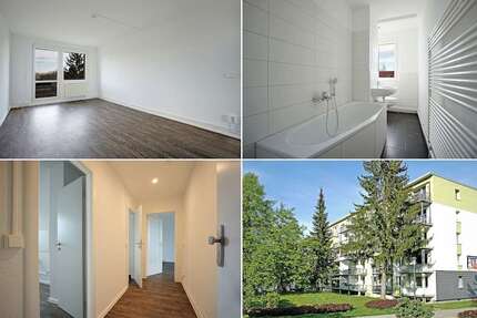 Wohnung zum Mieten in Freiberg 300,00 € 51.25 m²