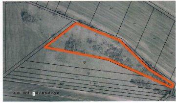 Flächen zur Heugewinnung - 96,00&nbsp;EUR Kaltmiete, ca.&nbsp; 0,00&nbsp;m&sup2; in Amt Wachsenburg (PLZ: 99334)