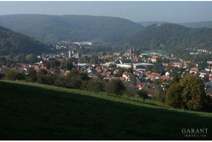 Traumhaftes Grundstück in ruhiger Lage mit viel Wertsteigerungspotenzial! - Amorbach