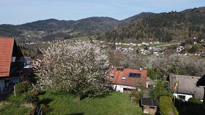 IDYLLE IN NATUR UND STADT - 195.000,00&nbsp;EUR Kaufpreis, ca.&nbsp; 589,00&nbsp;m&sup2; in Bühlertal (PLZ: 77830)