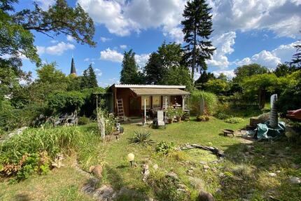 Wunderschöner Garten mit Haus in Potsdam Kleingarten
