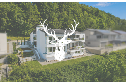 Wohnung zum Kaufen in Waldshut-Tiengen 189.000,00 € 72 m²