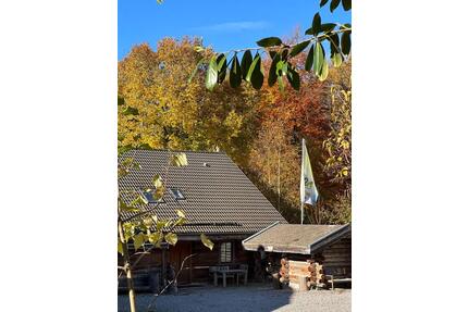 Wunderschönes kanadisches Blockstamm Ferienhaus 10-12 Personen - Schleiden