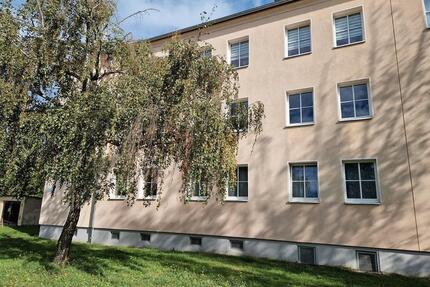 Großzügig geschnitten, für die ganze Familie - viel Platz zum wohnen in Cracau! - Magdeburg Brückfeld
