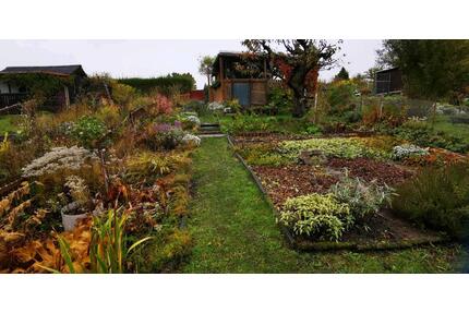 PachtGarten abzugeben - 400,00&nbsp;EUR Kaltmiete, ca.&nbsp; 0,00&nbsp;m&sup2; in Chemnitz (PLZ: 09131) Ebersdorf