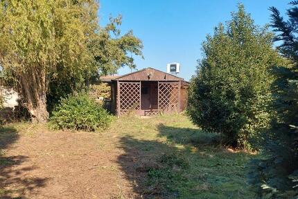 Pachtgarten Kleingarten Ebendorf 600qm - Magdeburg