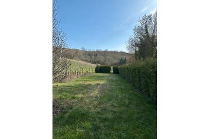 Freizeitgarten Garten in Windesheim (Gartenhaus & Grillplatz) - Guldental