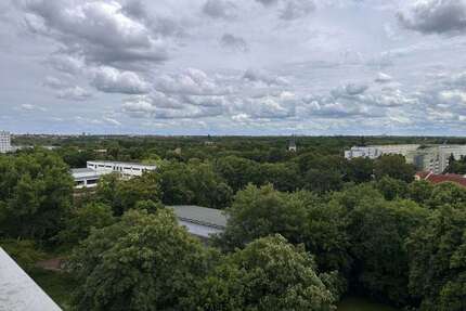 Wohnung zum Mieten in Halle (Saale) 349,00 € 57 m²