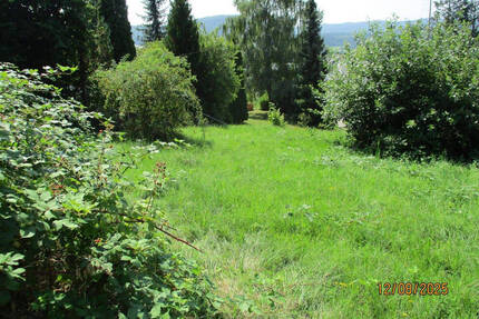 Viel Sonne und schöne Aussicht ... - Burladingen
