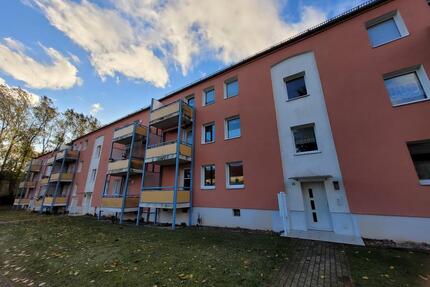 Frisch renovierte Wohnung wartet auf Ihre individuelle Note - ein Katzensprung zum Meer... - Sassnitz