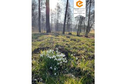 Grundstück in Klipphausen 346.499,70 € 126905 m²