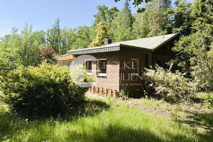 Haus zum Kaufen in Bad Bodenteich Schafwedel 79.000,00 € 56 m² - Bad Bodenteich / Schafwedel