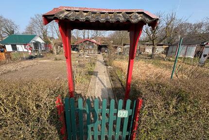 Kleingarten in Rheine zu verpachten – ca. 400 m² mit Laube