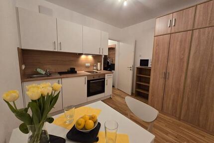 2-room new-build apartment, fully equipped; gardenterrace - Pentling