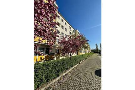 Wohnung zum Kaufen in Dresden 130.000,00 € 50.52 m²