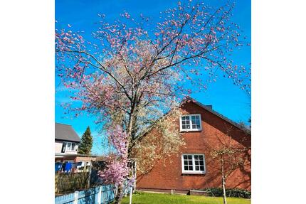 Familienfreundliches Haus in der Nähe von Husum zu vermieten